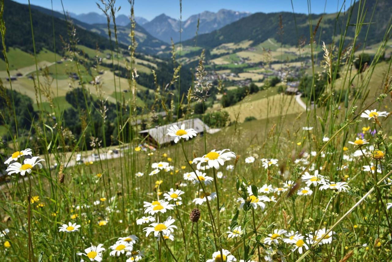 Haus Dorferstuck Apartment Alpbach Exterior photo